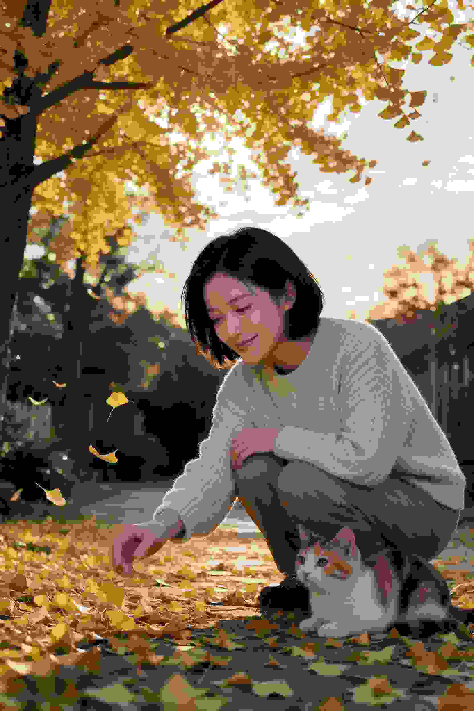 格斗少女